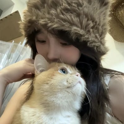 家国恩仇记