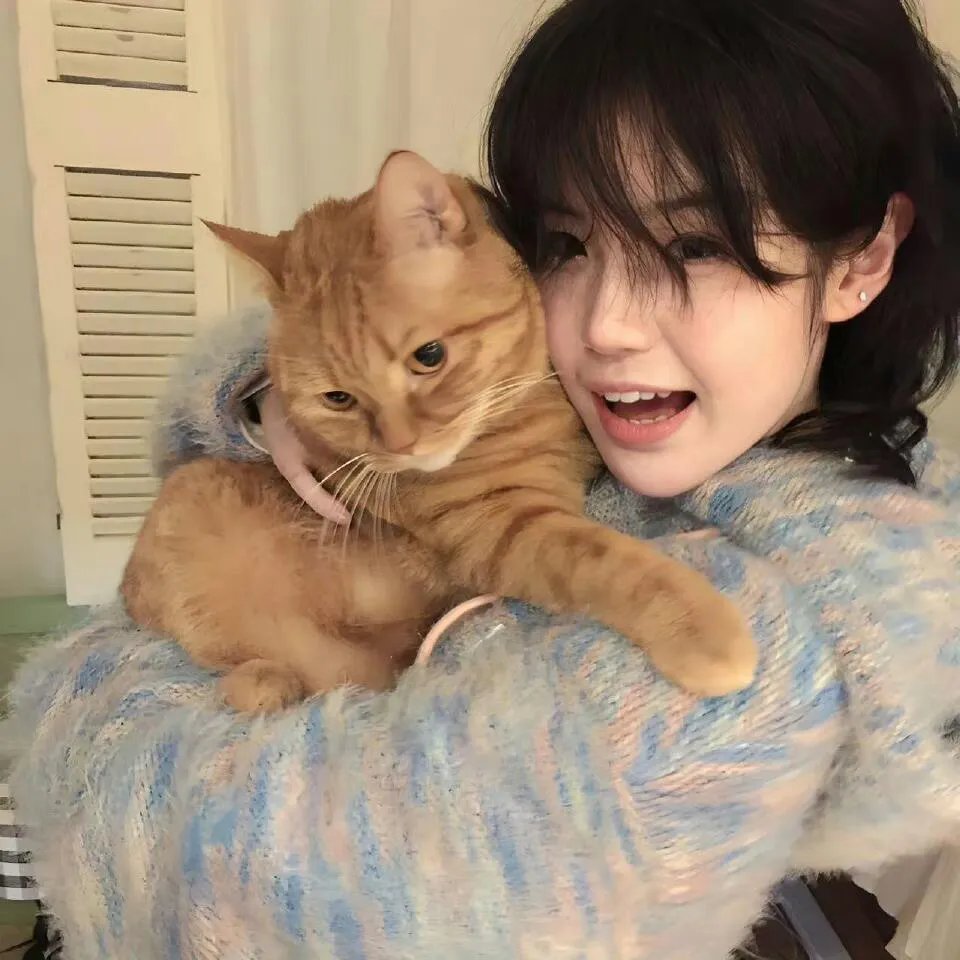 伊布丽的美食遗产